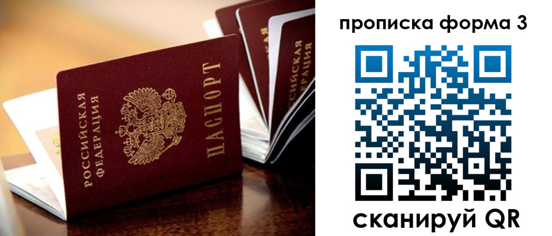 временная регистрация надежно в Приморском крае